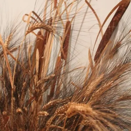 Stupor Mundi Altamura