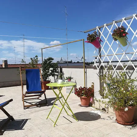 Stupor Mundi Altamura