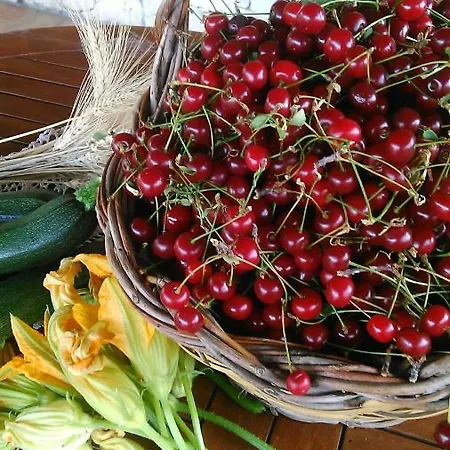 Stupor Mundi Altamura