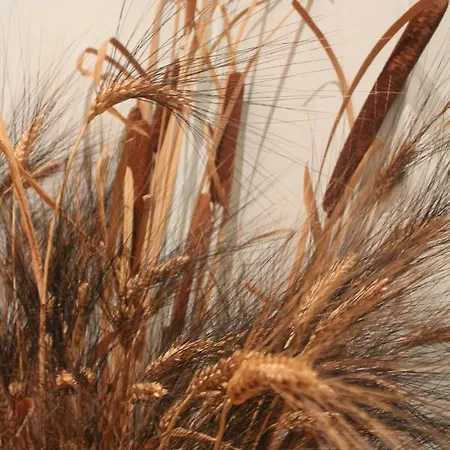 Stupor Mundi Alojamento de Acomodação e Pequeno-almoço