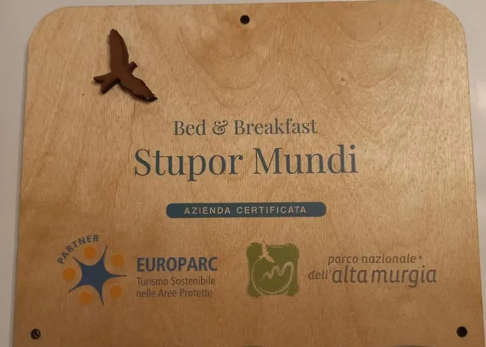 Stupor Mundi 4* アルタムラ